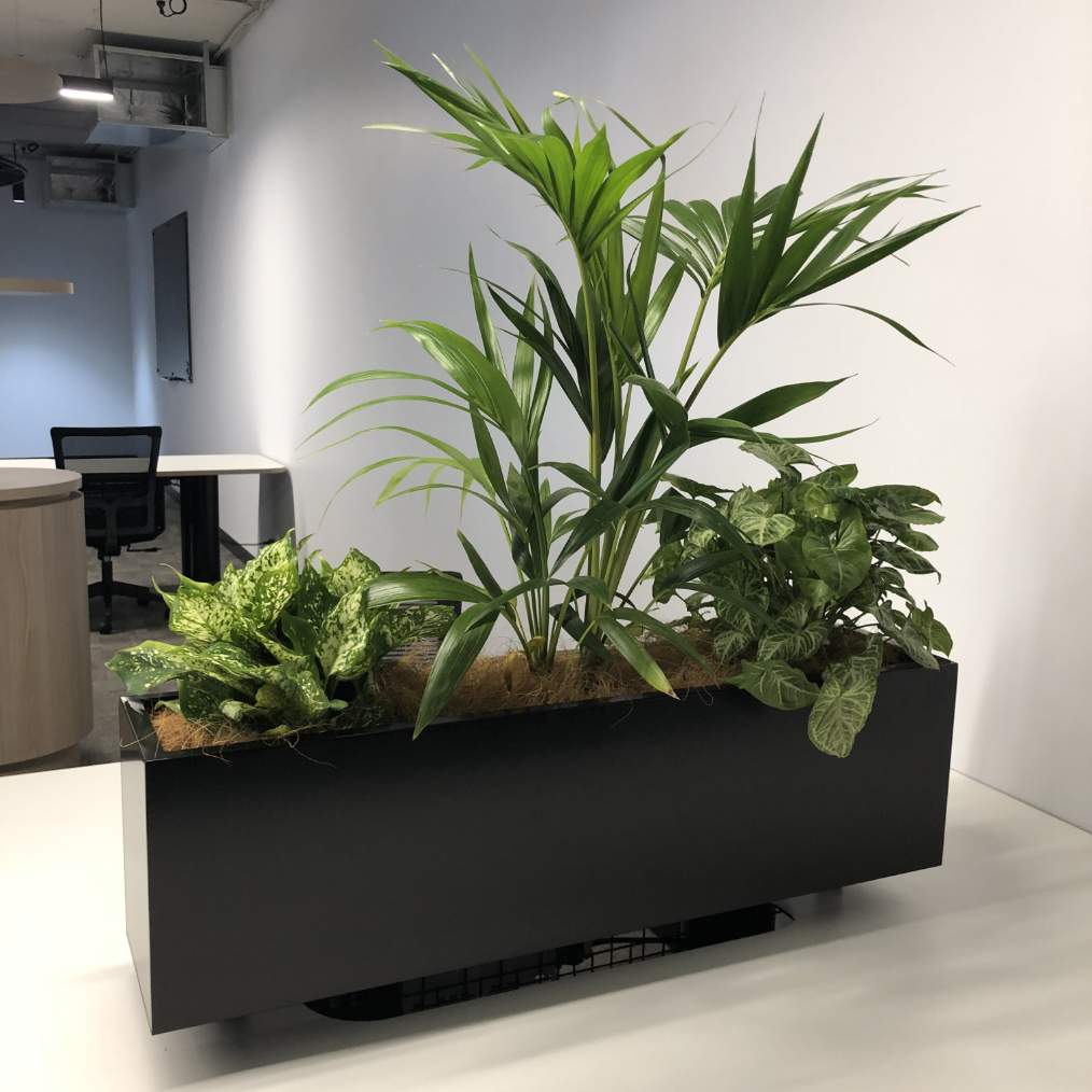 Table Planters TLC Works