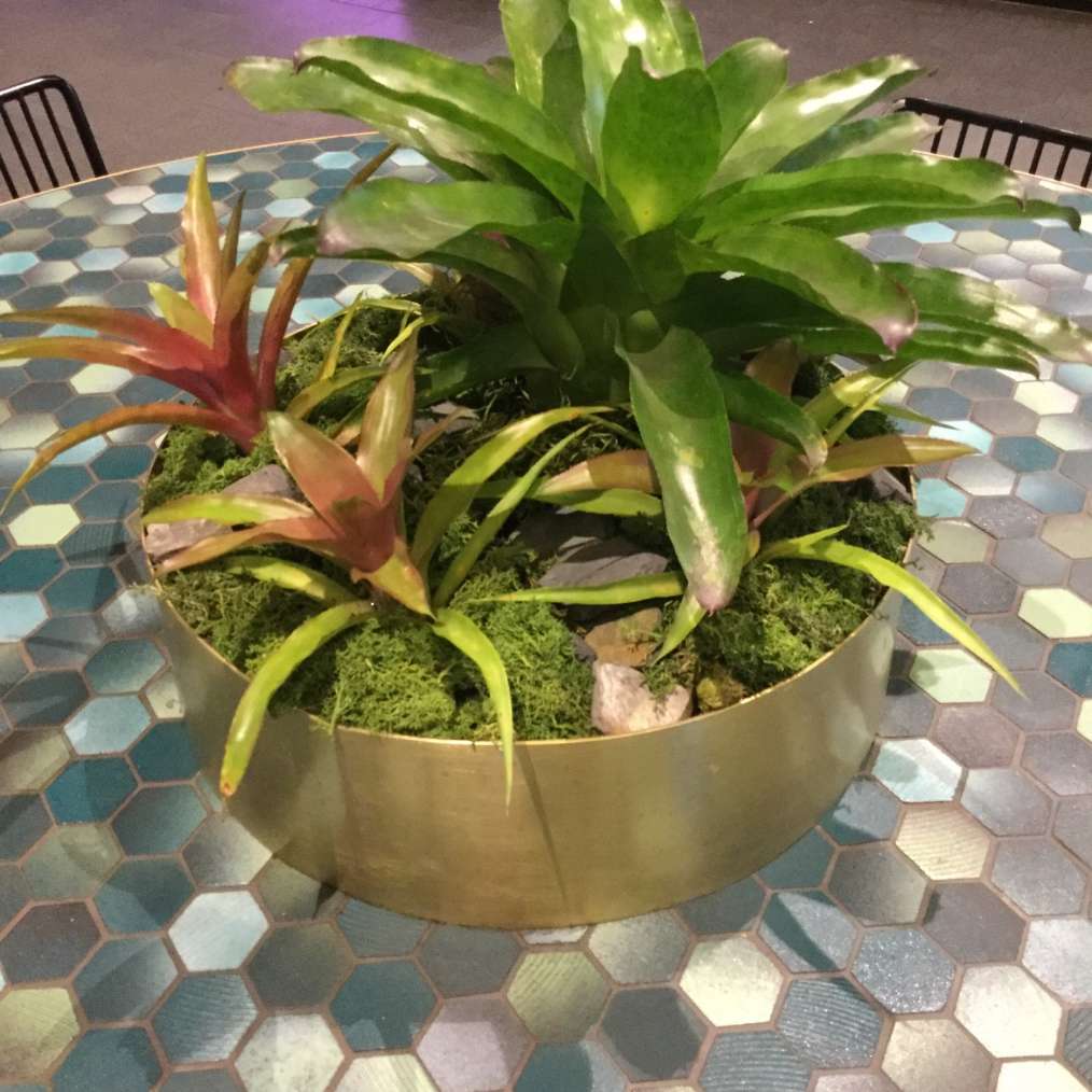Table Planters